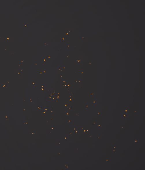 NiagaraSystems.gif