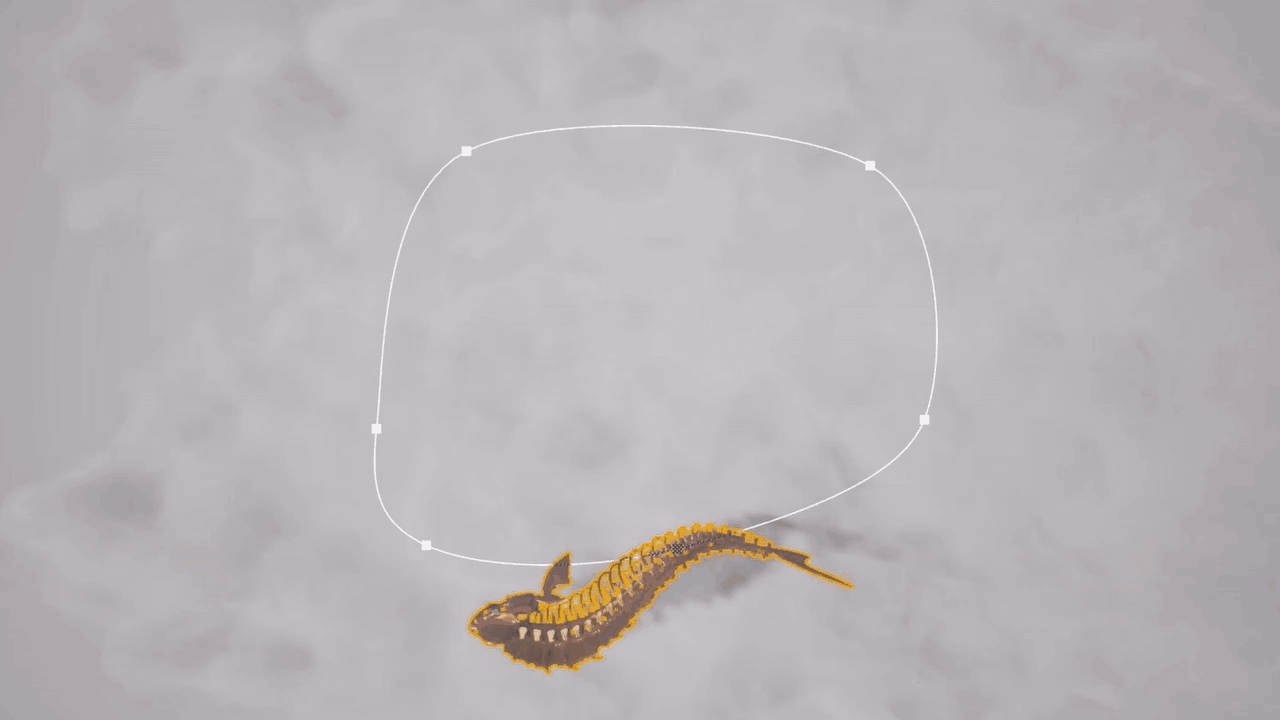 FishSplineFollow_GIF.gif