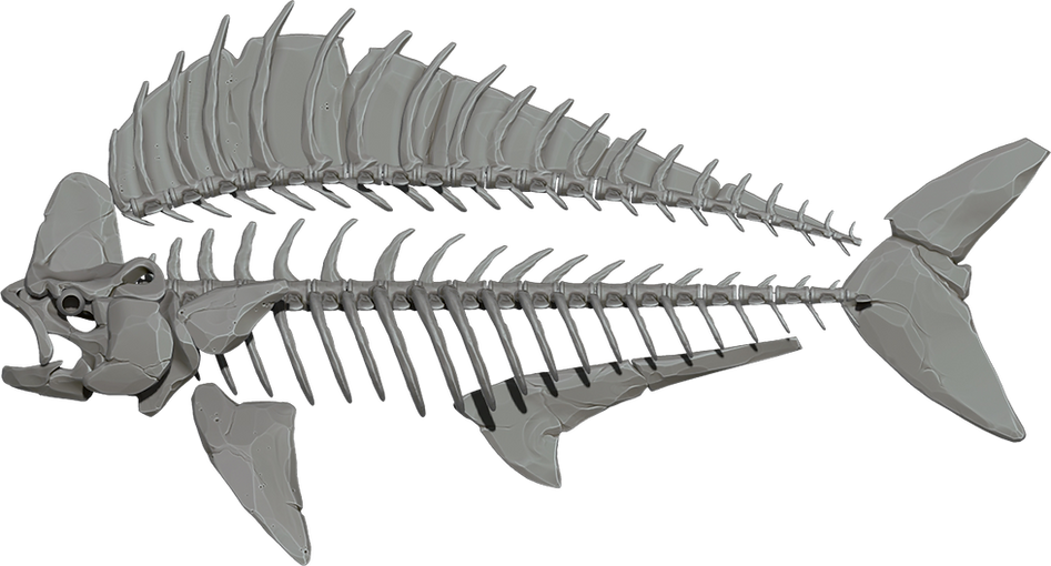 FIshSolo.png