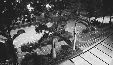imagem full color (002).jpg