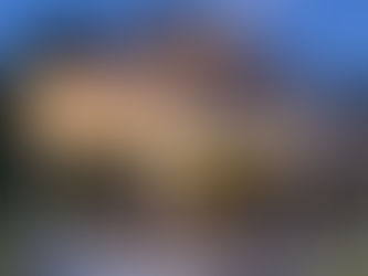 Introducing the Binzebo Gazebo — A Rustic Texas Twist on Outdoor Living