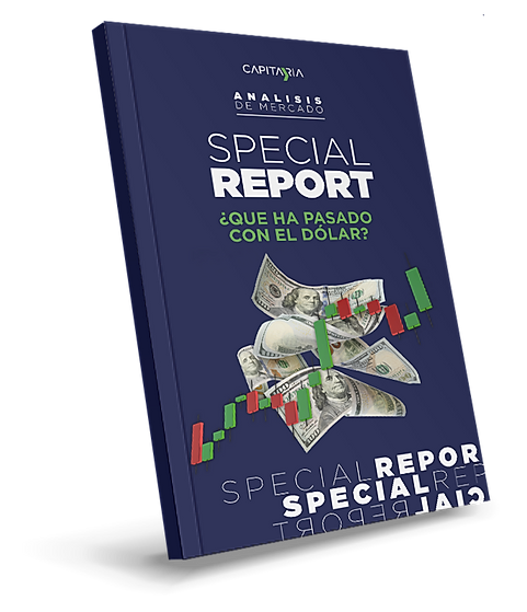 SPECIAL-REPORT-DOLAR.png