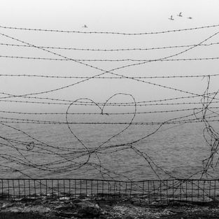 Поезія у фотографії Андрія Мура