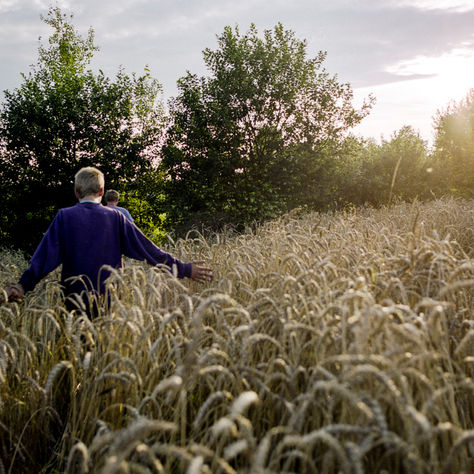 Кордон Яна Цапнера