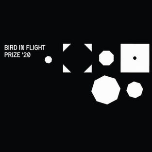 Прийом заявок на Bird in Flight Prize