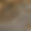 Thumbnail: Akoyas