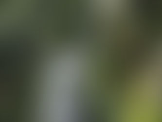 [new-slothml：1112] エクアドル：インタグ、鉱山開発のプロジェクトのライセンスが取り消しに