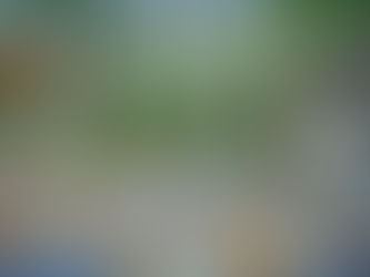 森の多様性がローカルを育む~メキシコ、レオナルド・ドゥランさん