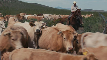 Las Damas Ranch_Chihuahua_Mexico_Alejandro_Carrillo on Horse.jpg