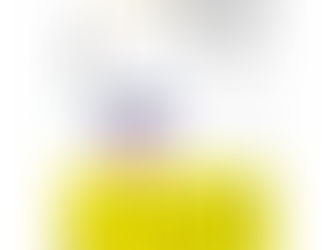 [new-slothml：330] ほんとうのリーダーのみつけかた