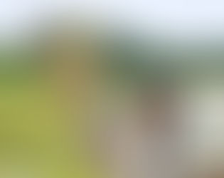 野生農園ザ☆ばんの明日はどっちだ~藤野での農業実践~ 伴昌彦