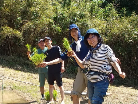 ナマケモノ・天水棚田部の田植え報告 川崎浩