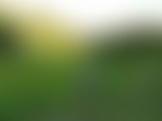 鴨川でスローライフ始めてます　棚橋 健