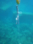 sonde-continu