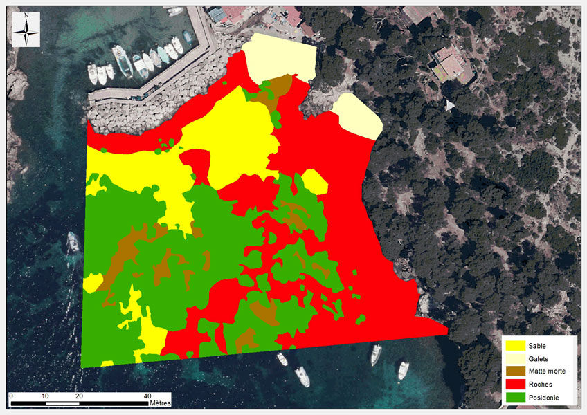 CARTOGRAPHIE-BIOCENOSES-MARINES