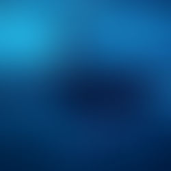 A new beginning : ORCA Creative