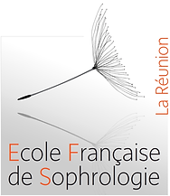 logo_efs2012_laReunion.png