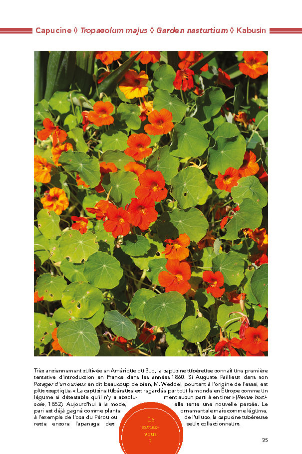 Miniature : Plantes aromatiques & condiments