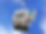 WOODTRONIC NC4.png