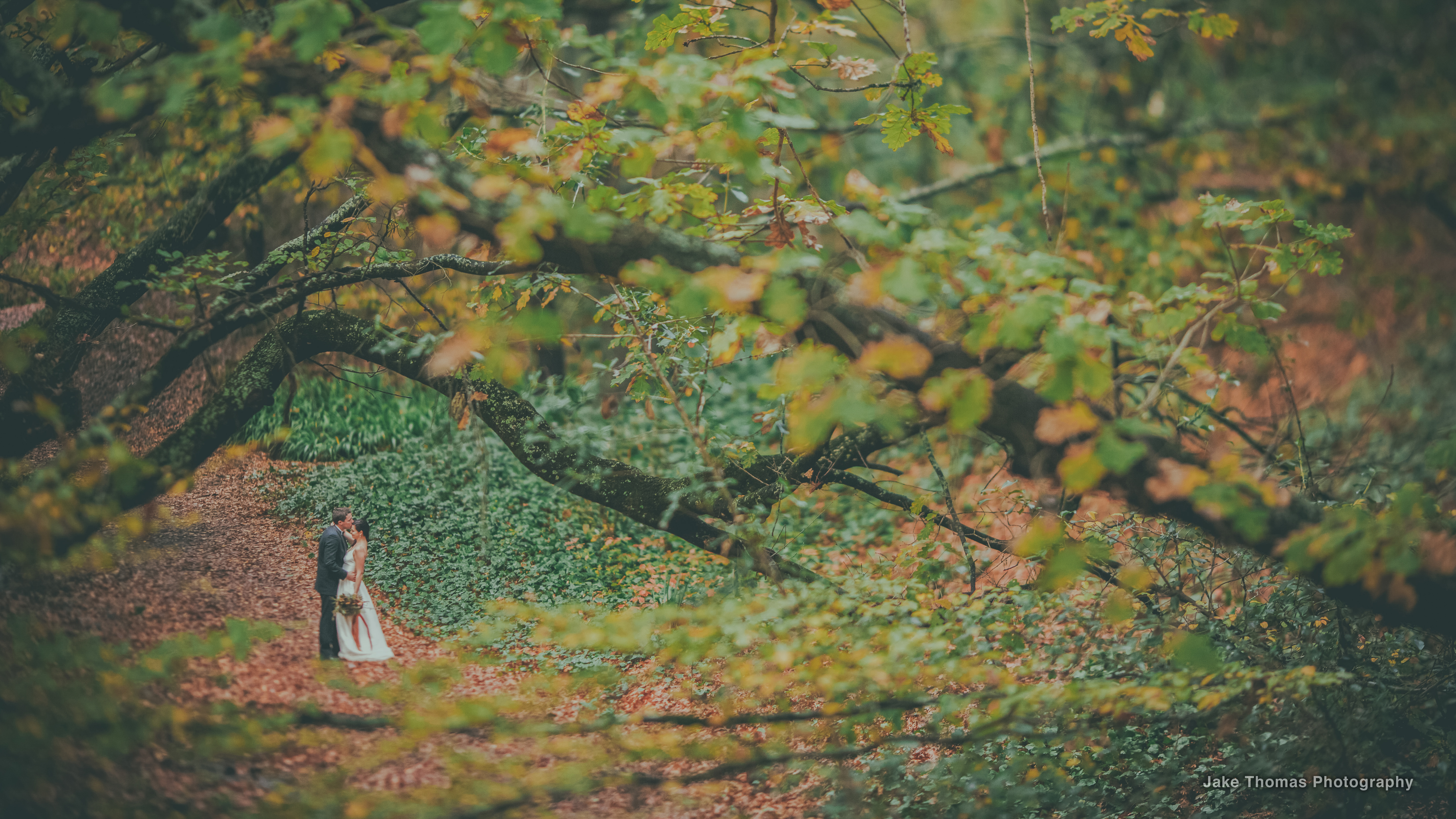 Aumarire ニュージーランドウェディング バケーション