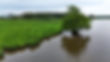 dji_fly_20250517_104910_0265_1747512208028_photo.jpg