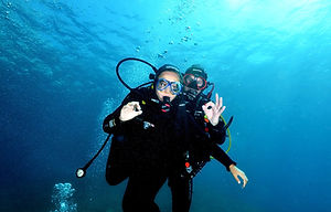 113313384_2754362241467094_5913317977521773641_n_edited.jpg