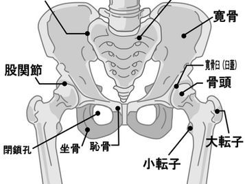 お尻の痛み・脚のシビレは”仙腸関節障害”かも