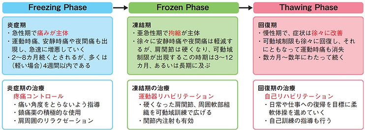 四十肩五十肩治療の流れ