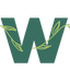 Writer: Willow Network