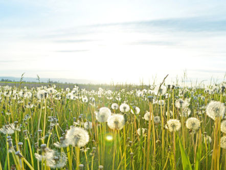 改变的渴望 Desire for Change