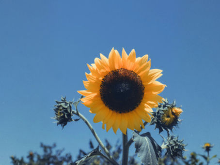 思想转化+感想小记