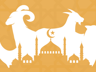 TIPS VOOR HET KIEZEN VAN DE BESTE OFFERDIEREN