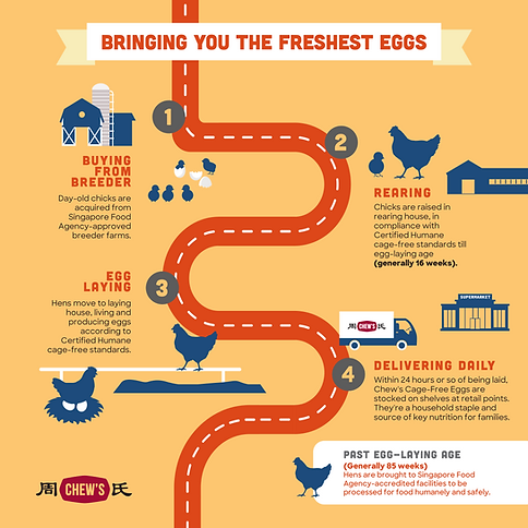 Bringing You The Freshest Eggs