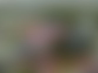 Volební valná hromada APL