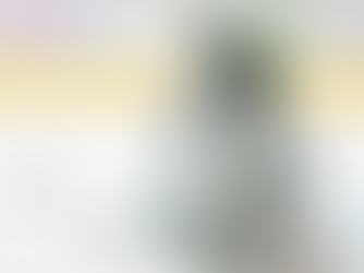 Aerin Frankel: The Goalie You Should Be Talking About