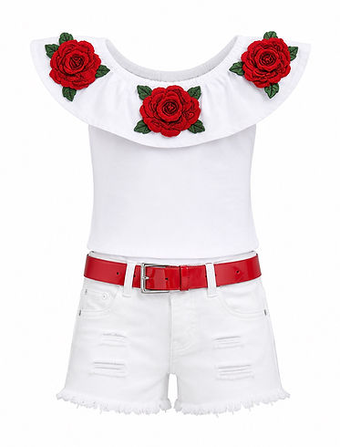 1BEA71E3-45F5-4820-B3FE-30AE736D9D96.png