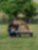 DSC09940.jpg