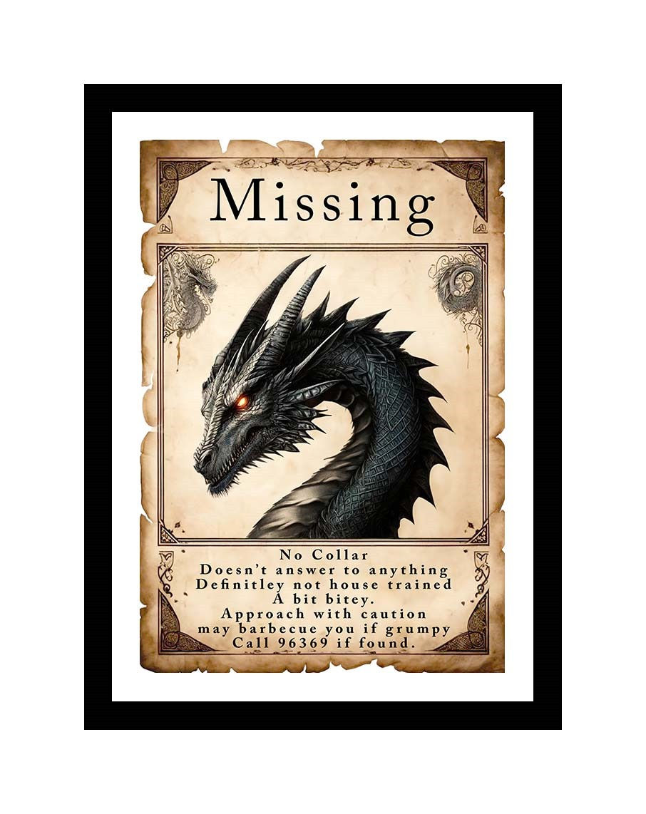 Black and White missing dragon