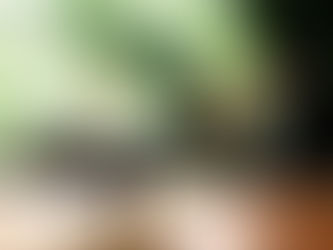 YOGA NEDEN SADECE BİR FİZİKSEL EGZERSİZ DEĞİLDİR ?