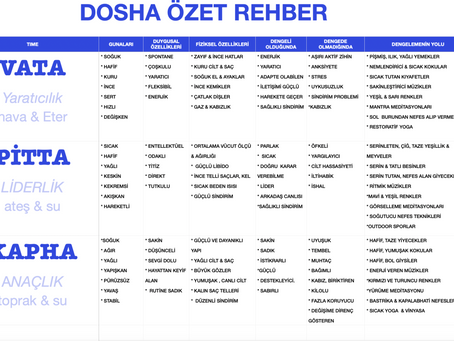 AYURVEDA HAKKINDA KISA BİR PAYLAŞIM