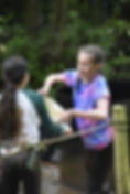 20240608_211137_CAAD19.jpeg