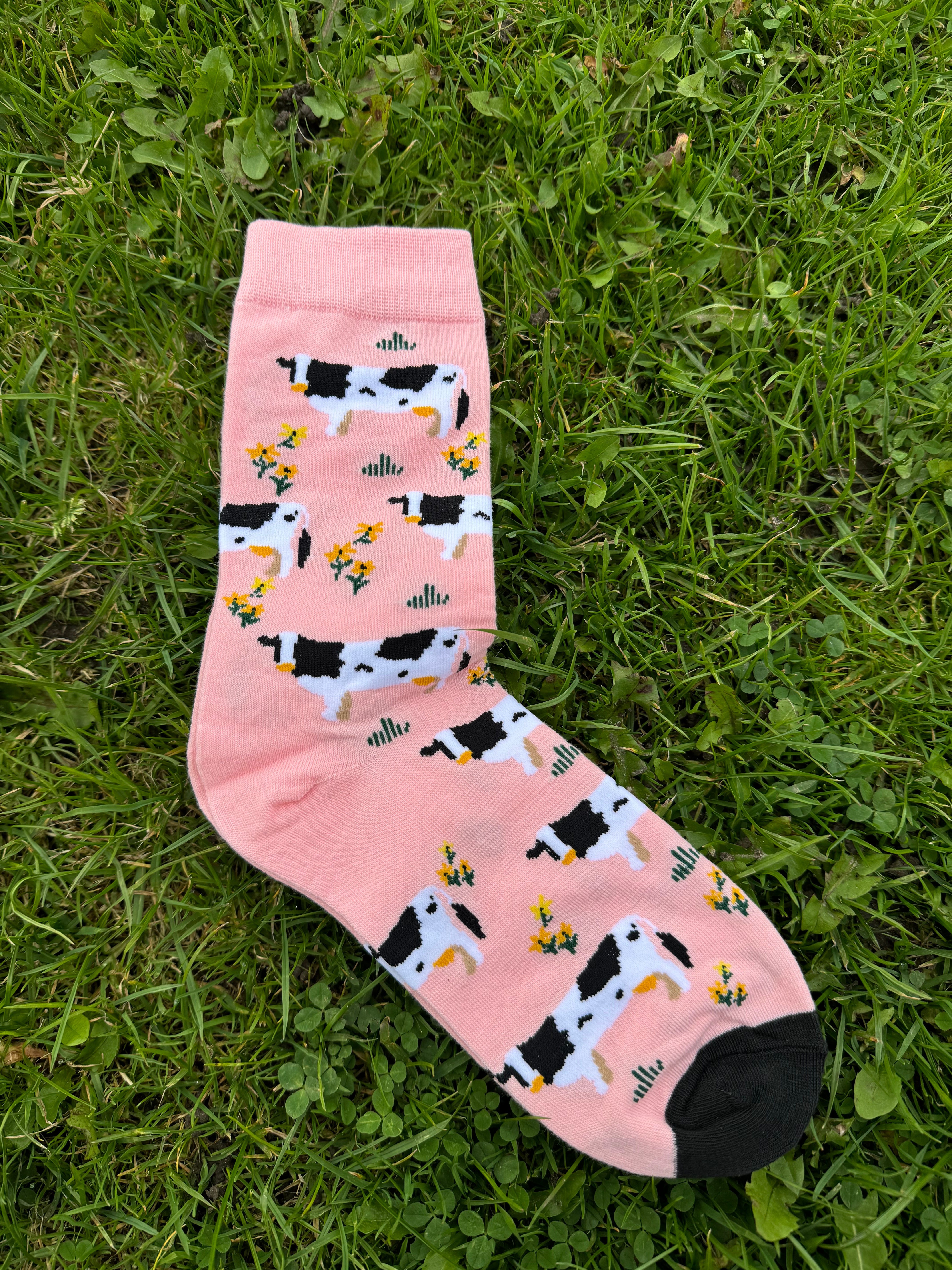 Pink Cow Socks