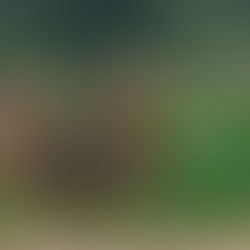 Βορειο Βιετναμ - North Vietnam