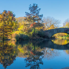 Multicolored New York - Πολυχρωμη Νέα Υόρκη