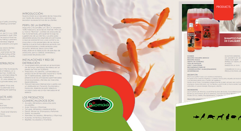 COEXA-Agrifood Foreign Trade Consultancy