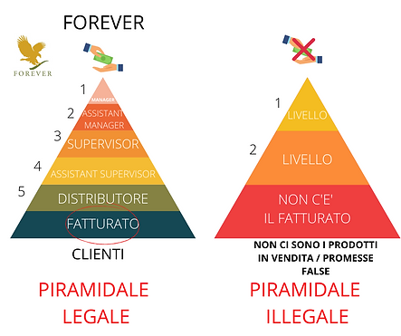 FATTURATO (2).png