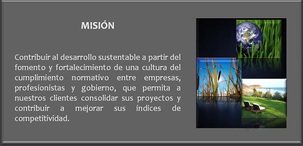 MISION GRIS.jpg