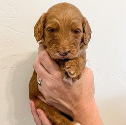 IMG_0315_edited_edited