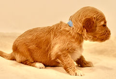 IMG_1269.jpeg