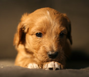 IMG_3014.jpeg